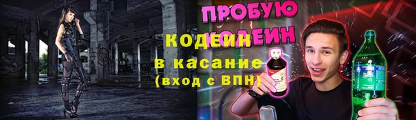 прущие грибы Абаза