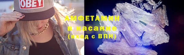 прущие грибы Абаза