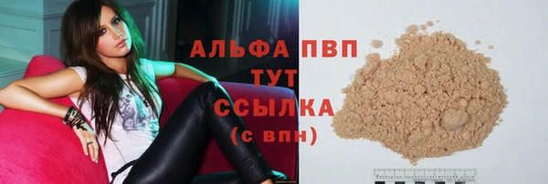 прущие грибы Абаза