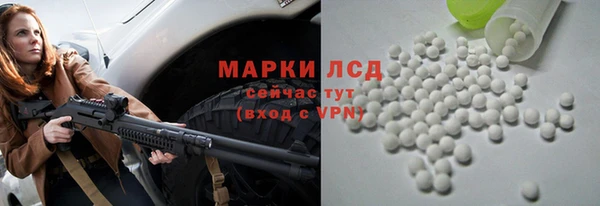прущие грибы Абаза