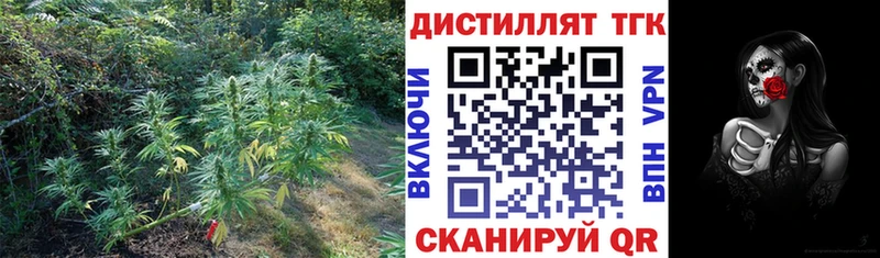 блэк спрут зеркало  Далматово  Дистиллят ТГК вейп 